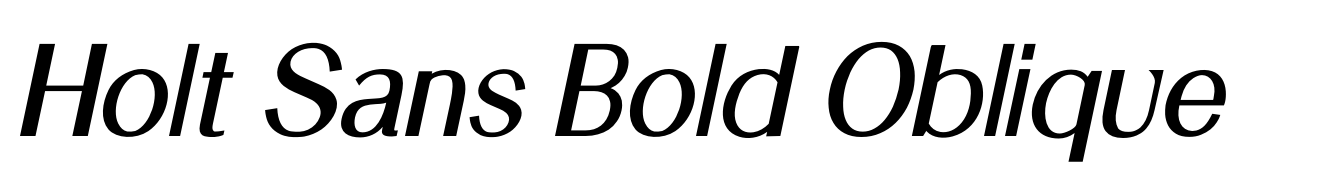 Holt Sans Bold Oblique